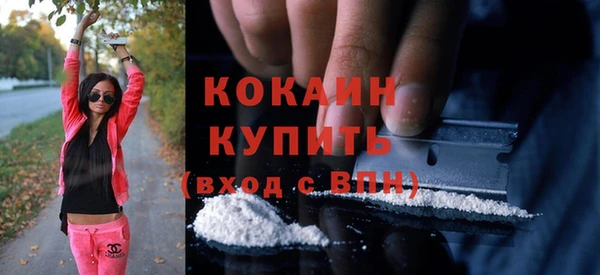 винт Абаза