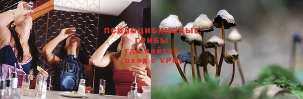 спиды Каменка