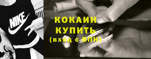 винт Абаза