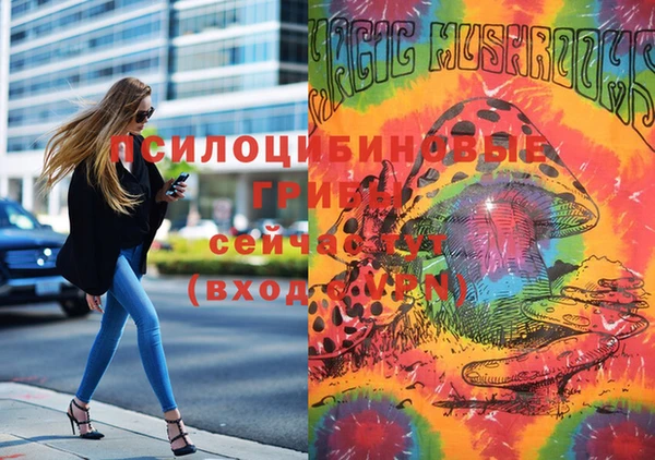 марки lsd Алзамай