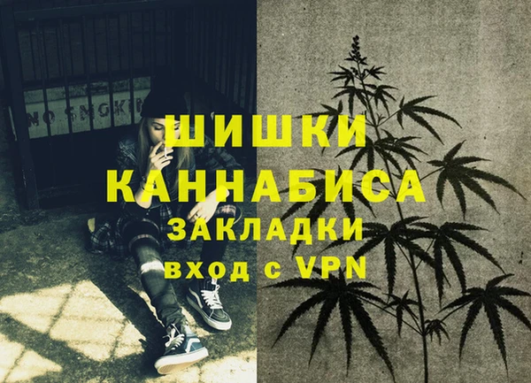 винт Абаза