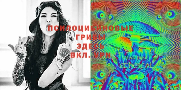 винт Абаза