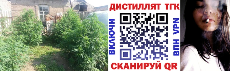 где можно купить наркотик  Сычёвка  ТГК вейп 